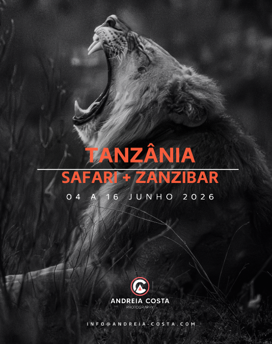 Tanzânia (Safari + Zanzibar) - 2026