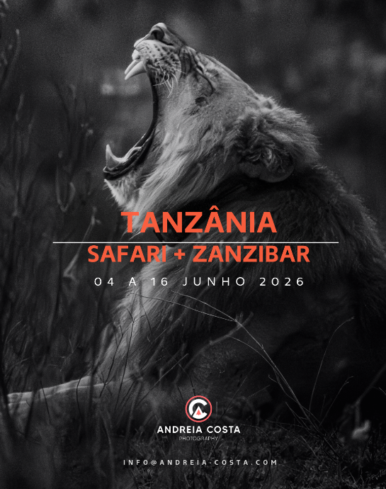 Tanzânia - Zanzibar