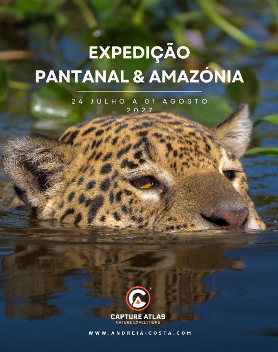 Pantanal, Amazónia - Brasil