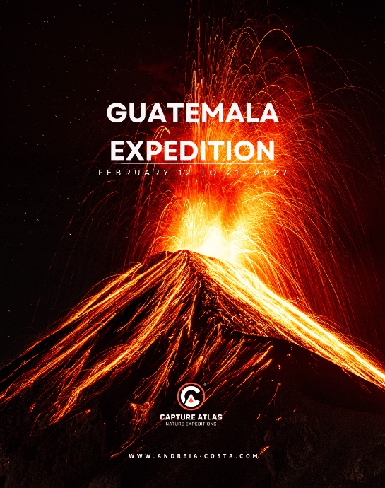 Guatemala Expedition