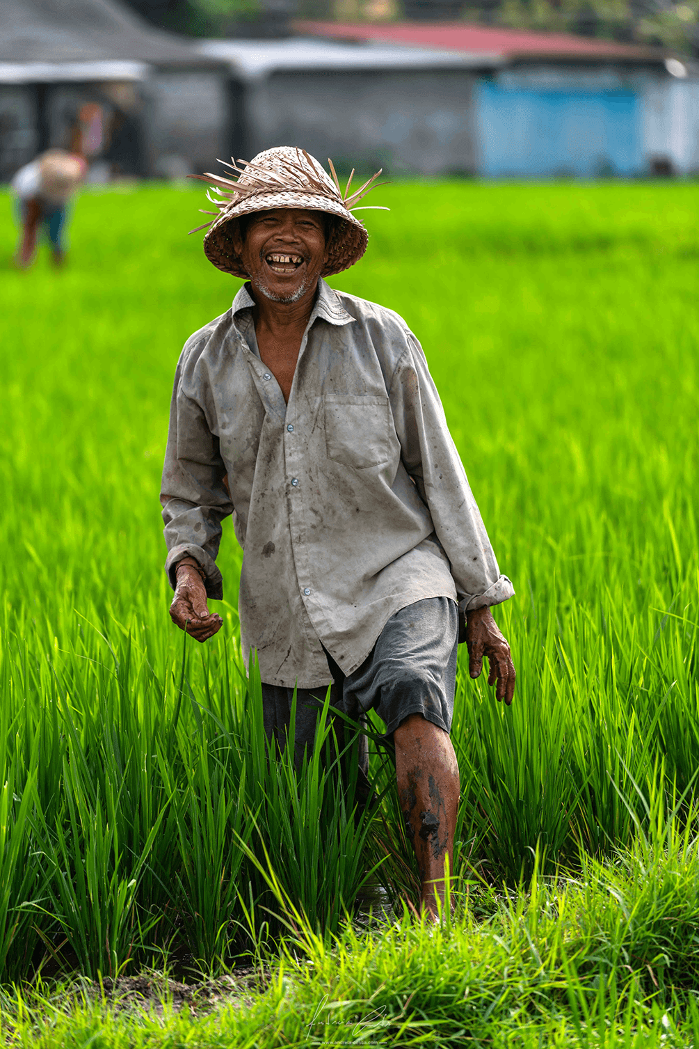 Agricultor, Bali, Indonésia