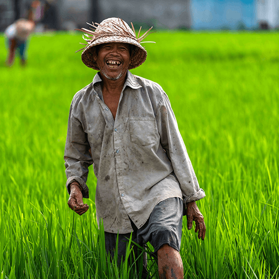 Agricultor, Bali, Indonésia