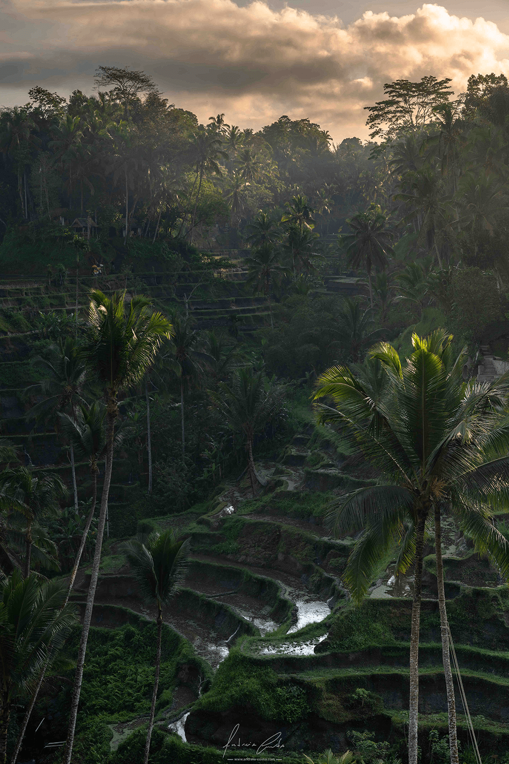 Bali, Indonésia, 2023