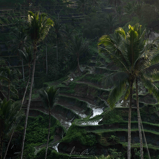 Bali, Indonésia, 2023