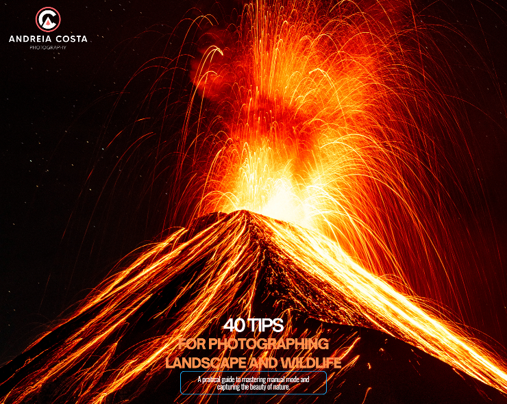eBook: 40 Tips for Landscape and Wildlife Photography eBook: 40 Tips for Landscape and Wildlife Photography