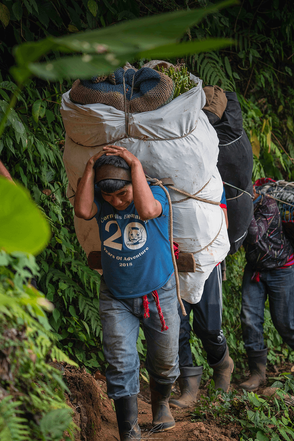 Carregadores, Guatemala