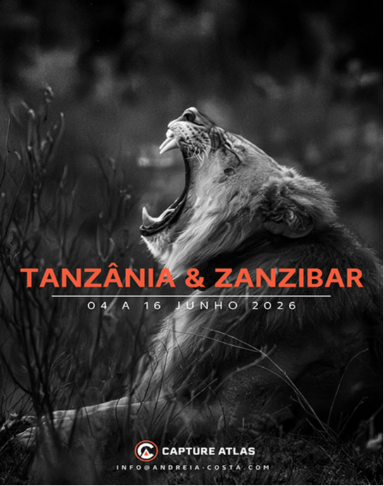 Tanzânia (Safari + Zanzibar) - 2026