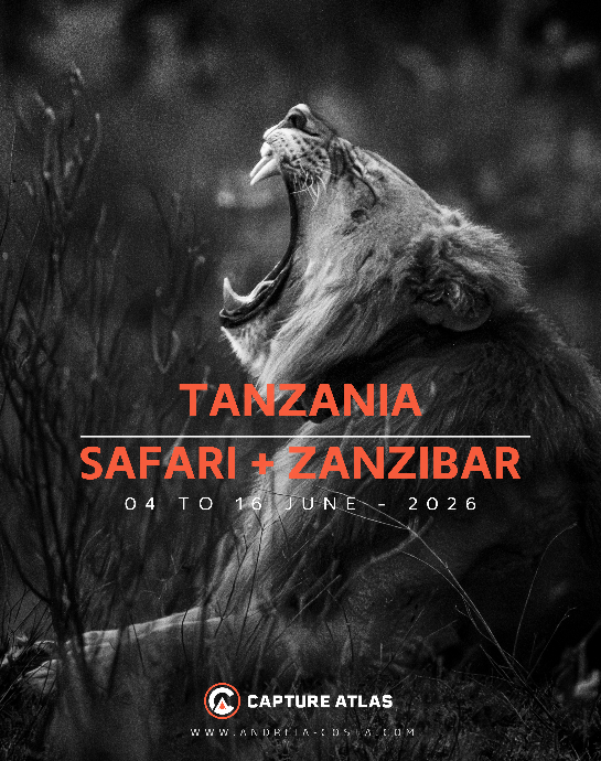 Tanzania - Zanzibar Tanzania - Zanzibar