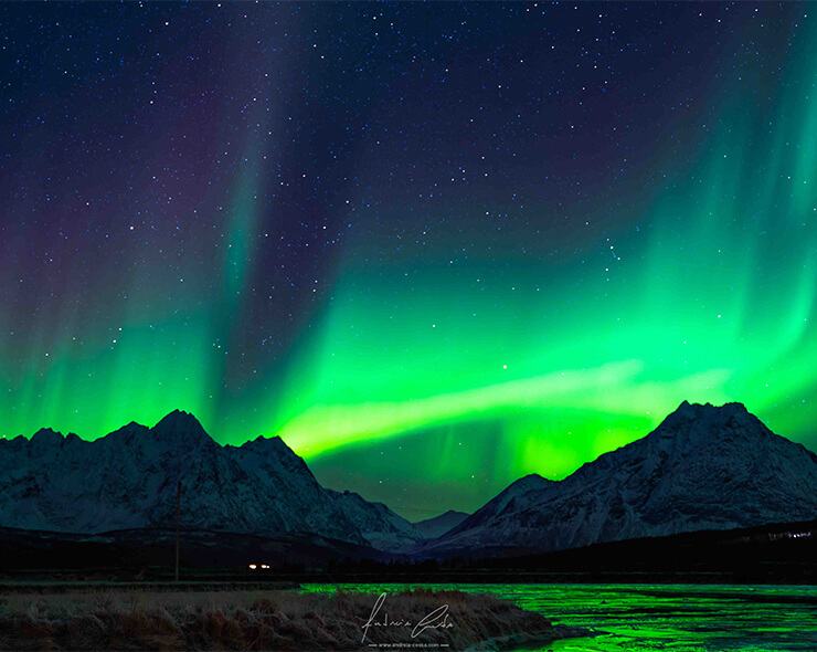 NightSky