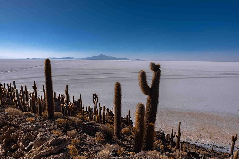 Salar Uyuni, Bolívia