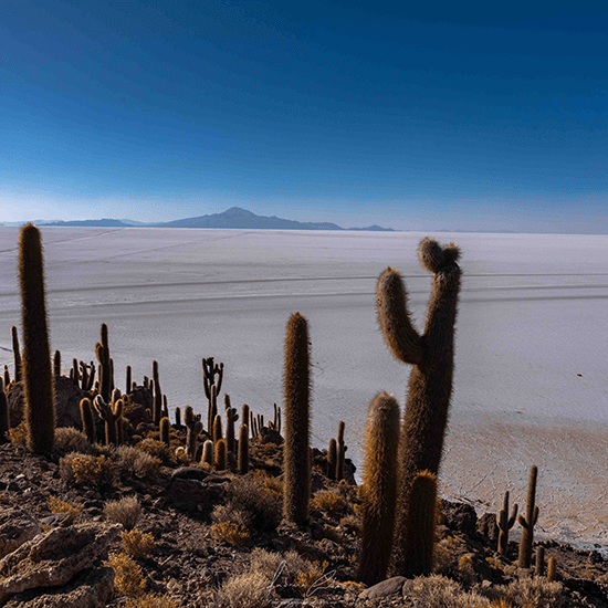 Salar Uyuni, Bolívia