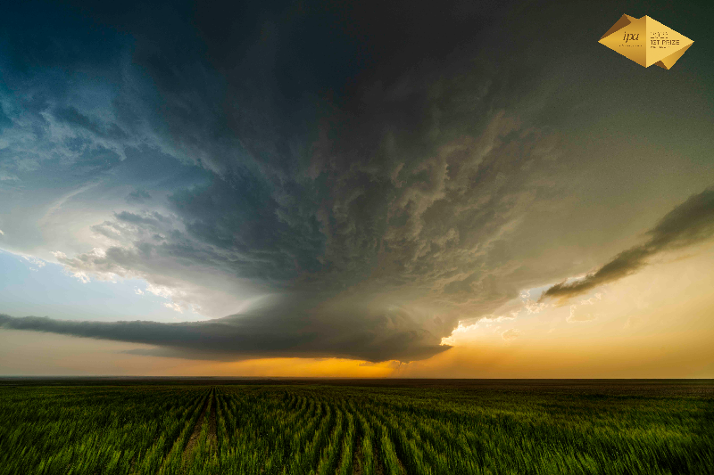 2025 - International Photo Awards