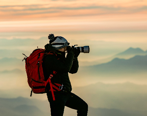 Wildlife Course Photography