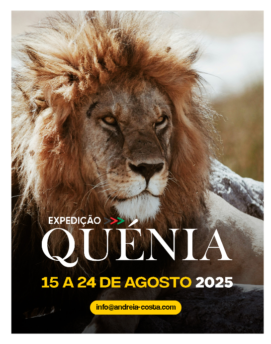 Expedição Fotográfica Quénia Safari Tour